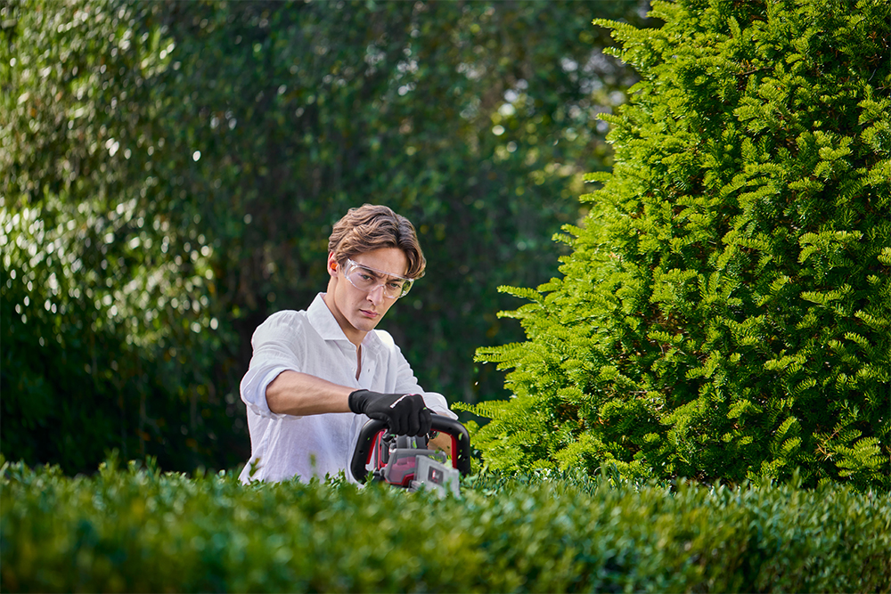 George Russell trims a hedge in the garden with focus using an Einhell cordless hedge trimmer